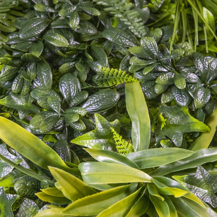 Primrue 1'' Faux Boxwood Hedge Wayfair Canada